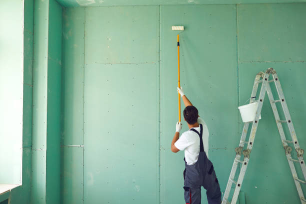 Professional Mold Removal in Spencerville, OH