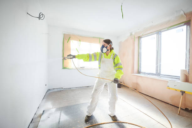 Best Post-Construction Mold Inspection  in Spencerville, OH