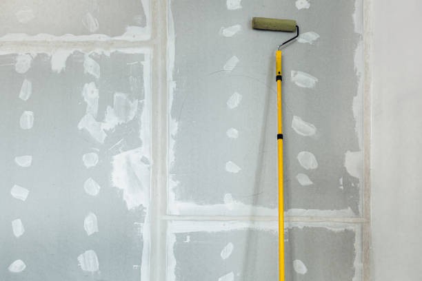 Best Airborne Mold Testing  in Spencerville, OH