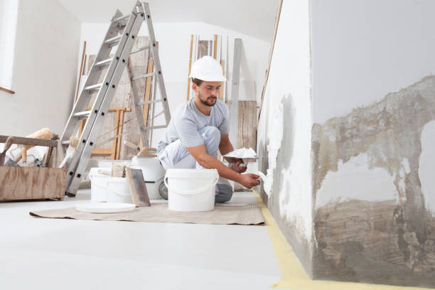 Best Mold-Related Health Consultation  in Spencerville, OH