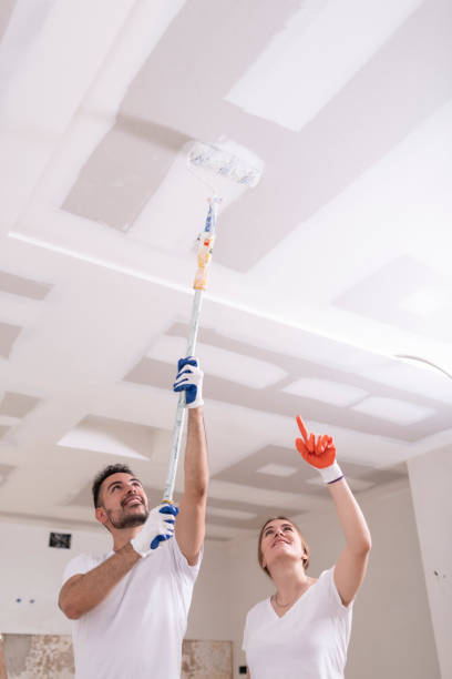 Best Attic Mold Removal  in Spencerville, OH