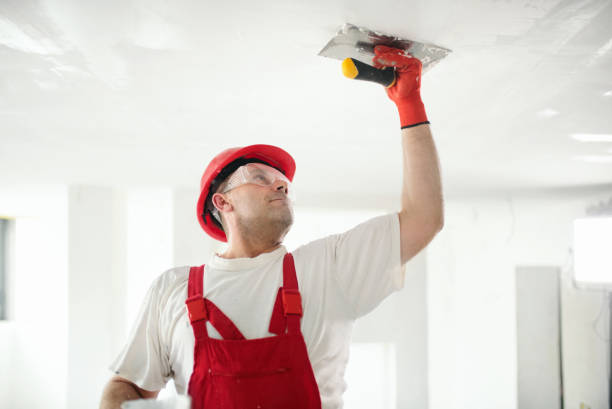 Mold Remediation for Vacation Homes in Spencerville, OH