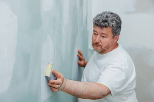 Best Comprehensive Air Testing for Mold Contaminants  in Spencerville, OH
