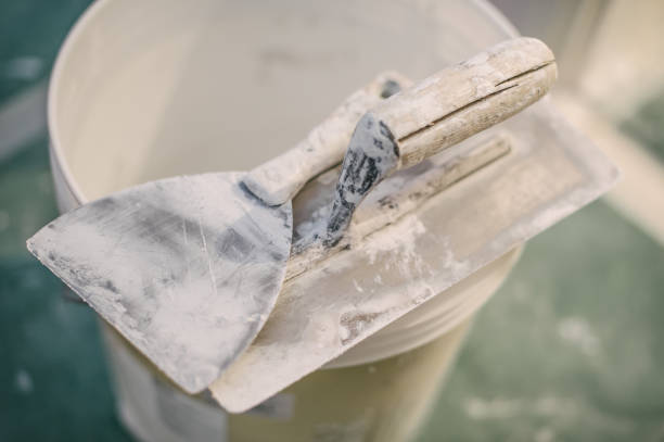Best Industrial Mold Remediation  in Spencerville, OH